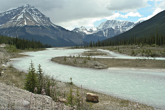 Icefield parkway