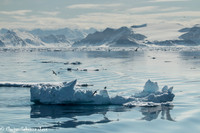 Spitsbergen