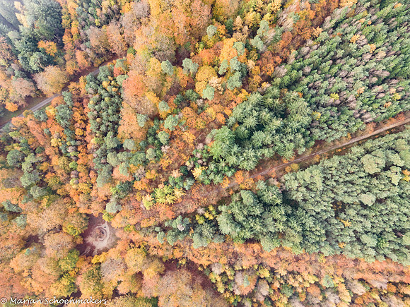 Drone beeld, herfst op de veluwe